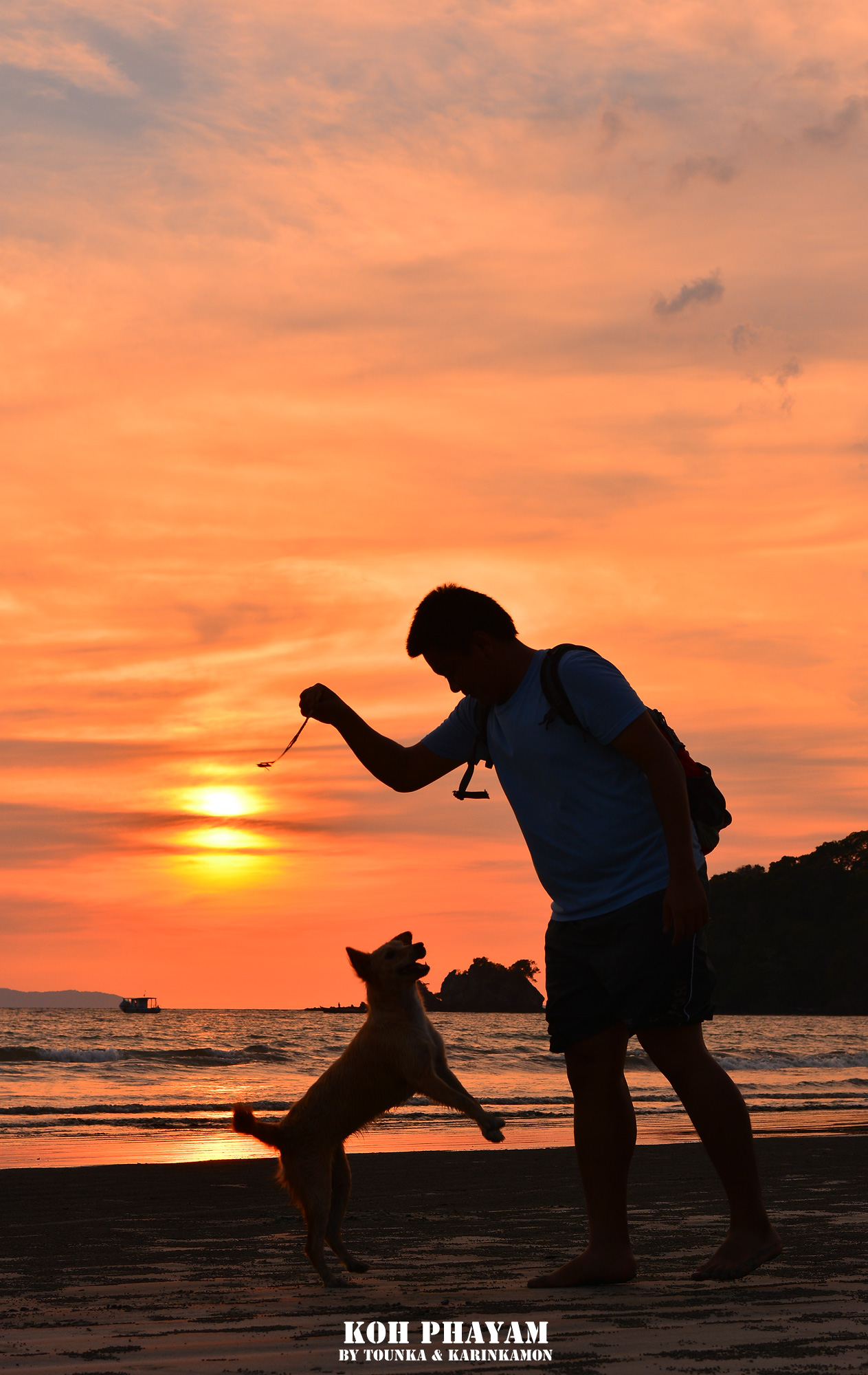 Island Doggies